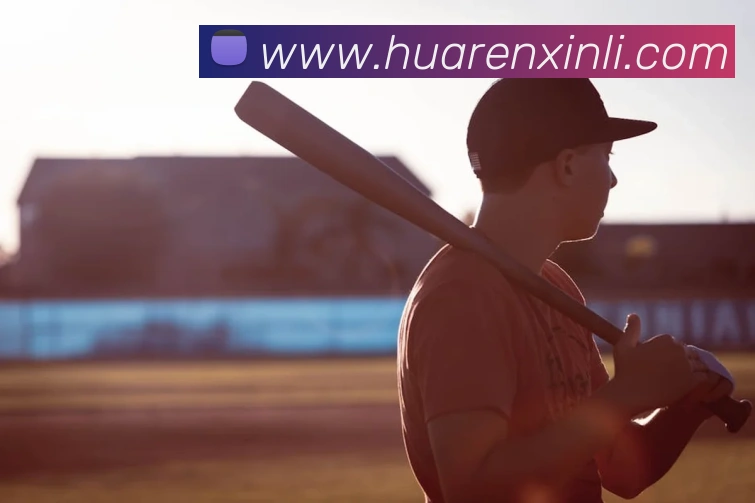 互动解说服务